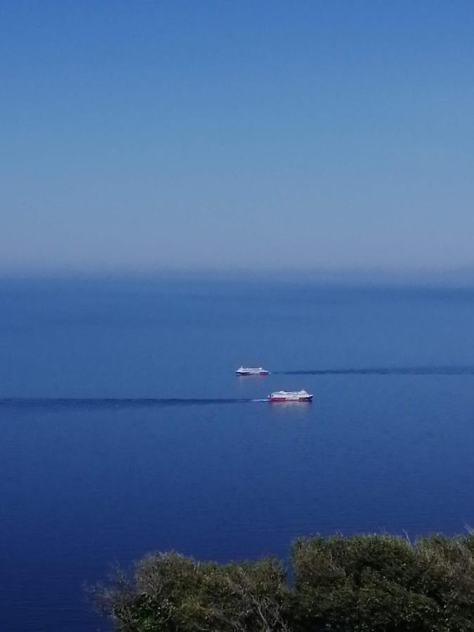 Aegean Deep Blue Andros Ano Aprovato Apartment Exterior photo